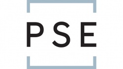 PSE logo alternative